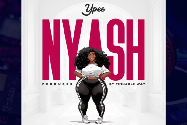 Ypee - Nyash