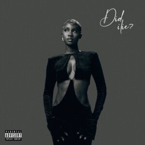 Cina Soul - Did I Lie Album