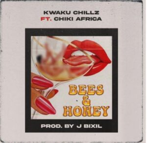 Kwaku Chillz – Bees & Honey ft Chiki Africa Mp3