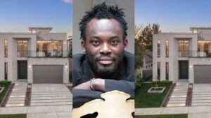 They can auctions my houses, I don’t care – Michael Essien