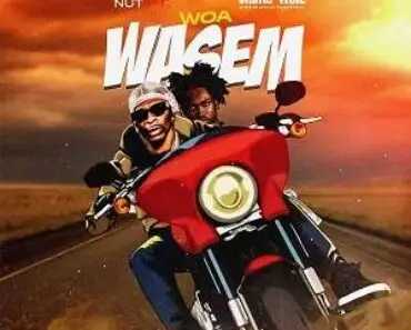 Kwame Nut Ft. Shatta Wale – Woa Wasem