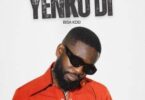 Bisa Kdei - Yenkodi