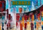 Guru NKZ - Bebree