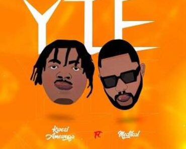 DOWNLOAD MP3: Kwesi Amewuga Ft Medikal – Yie