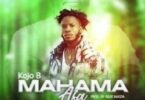 Mahama Afa Mp3 Download NDC Song By Kojo Bee