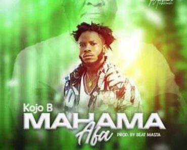 Mahama Afa Mp3 Download NDC Song By Kojo Bee