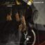Attraction By Quamina Mp