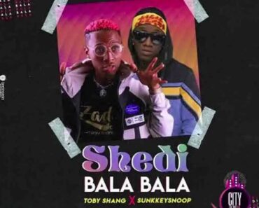 Tobyshang – Shedibalabala Shedi bala bala Ft. Sunkkeysnoop