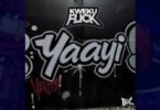Kweku Flick – Yaayi