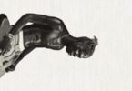 Seyi Vibez – Shaolin
