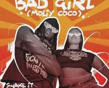 Stonebwoy – Bad Girl (MOLiy Coco)