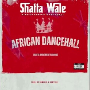 Shatta Wale – African Dancehall