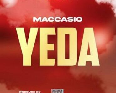 Maccasio – YEDA