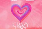 Wendy Shay - Crazy Love Ft Olivetheboy
