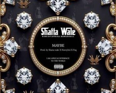 Shatta Wale – Genzi
