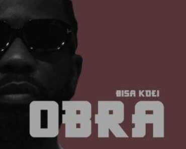 Bisa Kdei – Obra