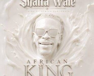 Shatta Wale – Run This